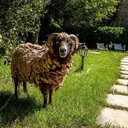 Domaine De Lafayette - Sejours Bien-etre Et Detente Hébergement de vacances *